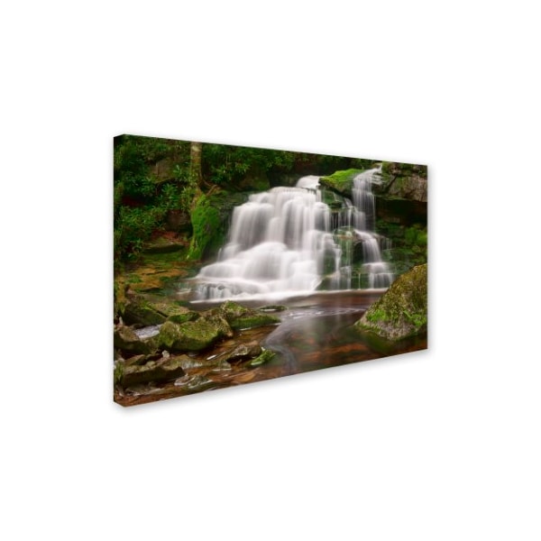 Michael Blanchette Photography 'Elakala Falls' Canvas Art,30x47